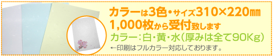 和紙ファイル